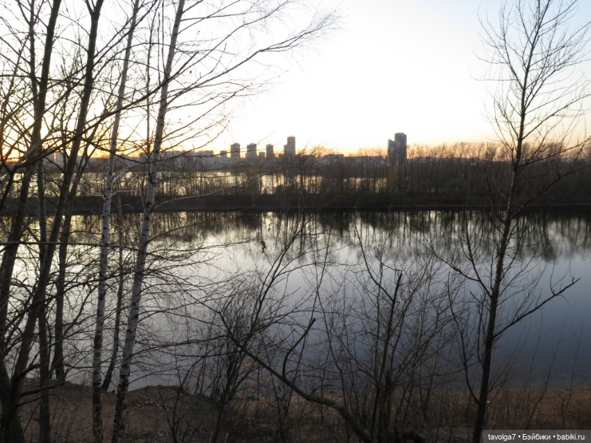 Флёр World of Love из моей коллекции и осень (фото 8)