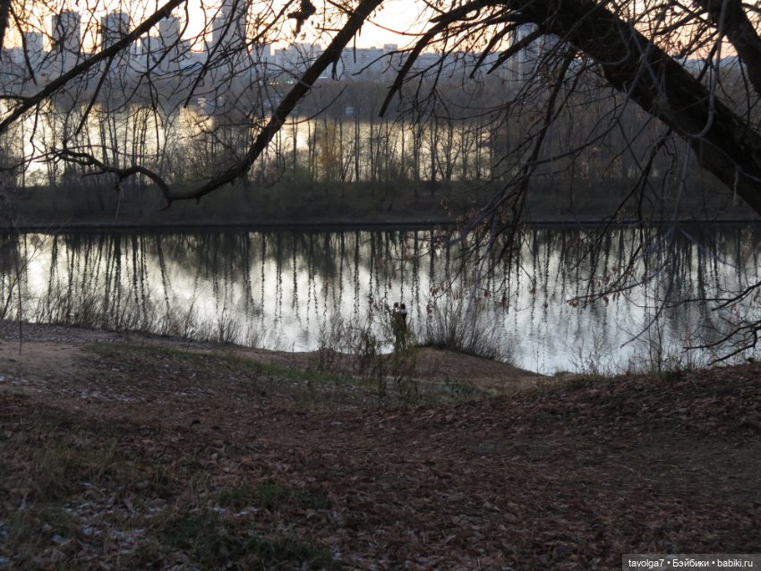 Флёр World of Love из моей коллекции и осень (фото 2)