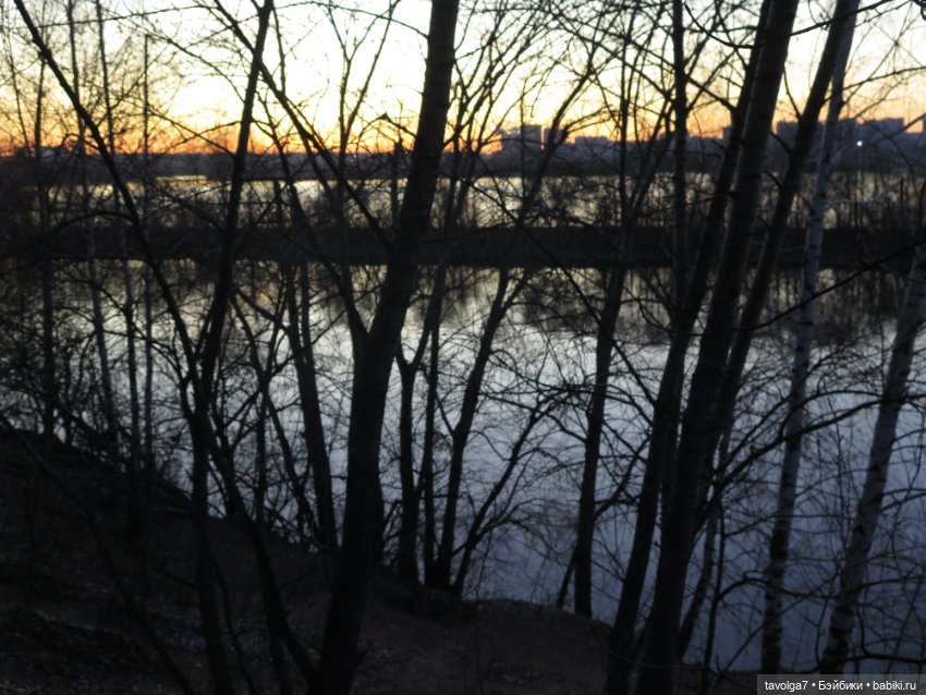 Флёр World of Love из моей коллекции и осень