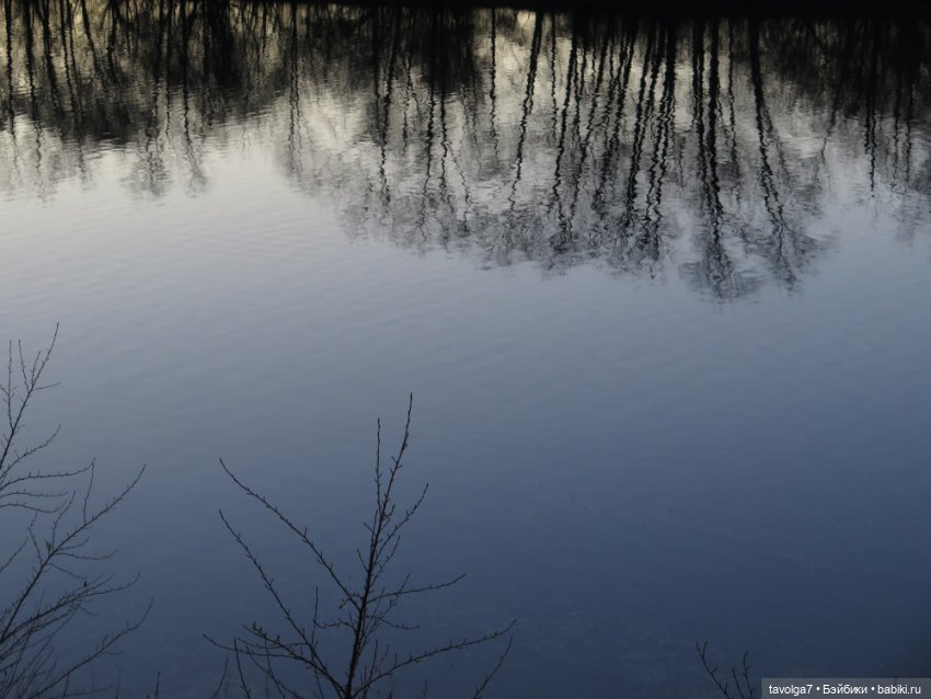 Флёр World of Love из моей коллекции и осень