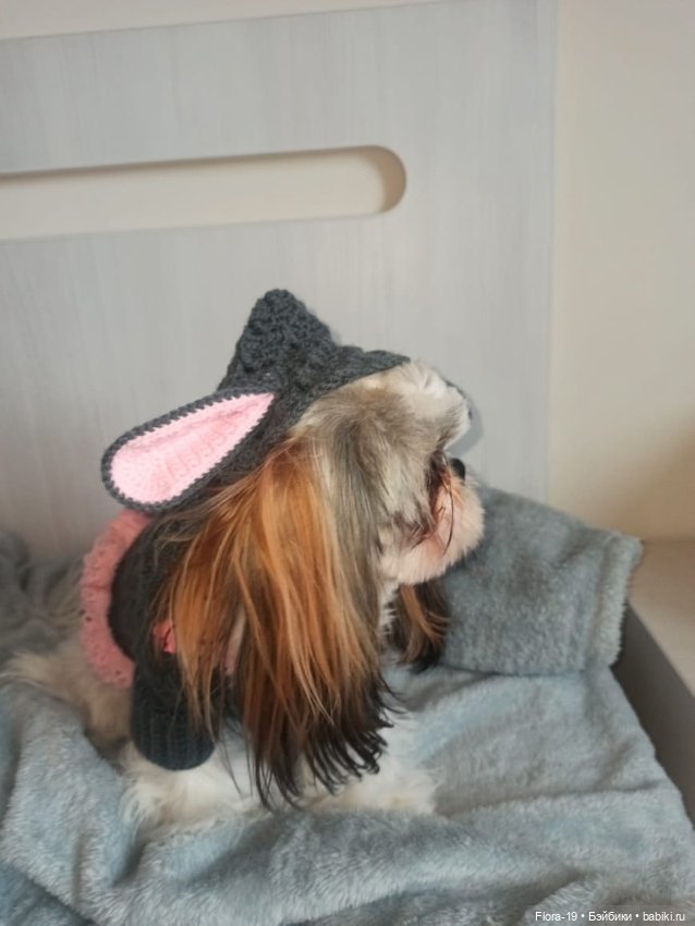 Милая Ши-тцу — Другие хобби и увлечения: сад (фото 2)