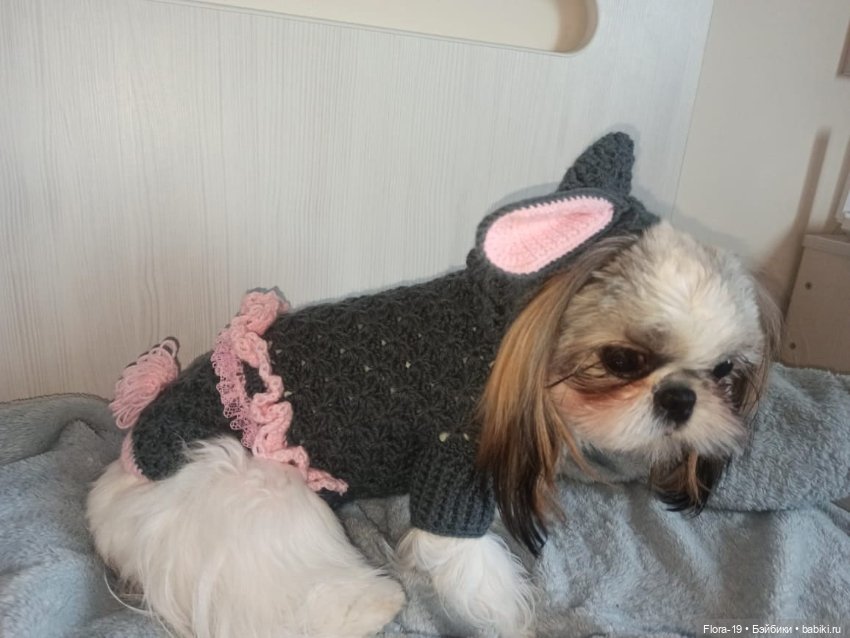 Милая Ши-тцу — Другие хобби и увлечения: сад (фото 5)