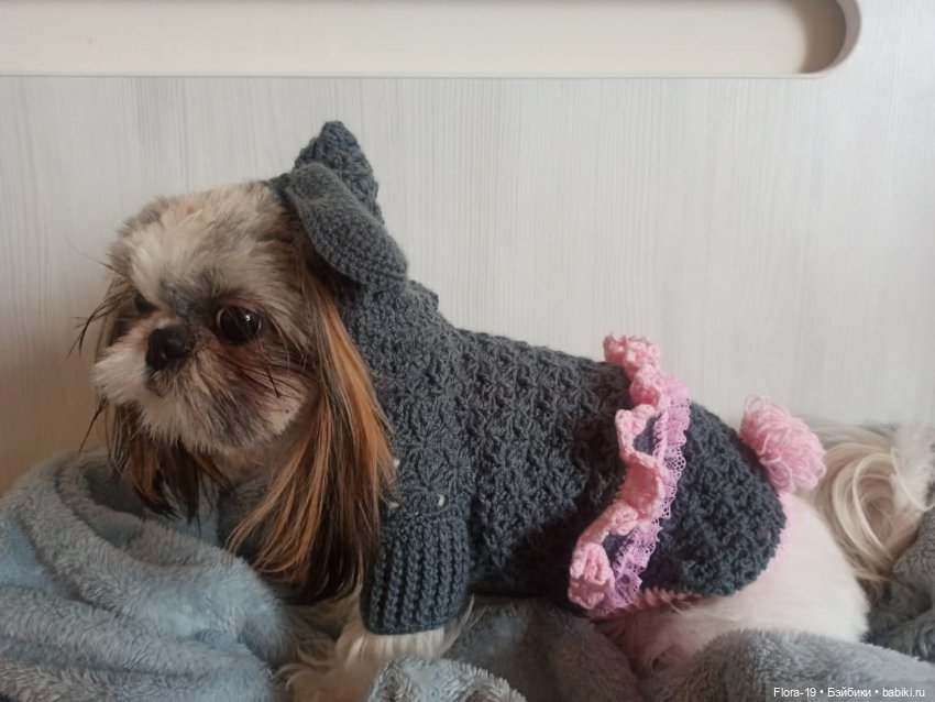 Милая Ши-тцу — Другие хобби и увлечения: сад (фото 4)