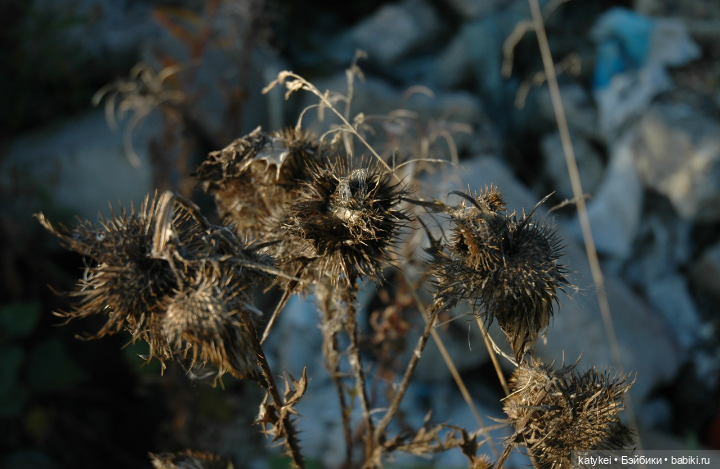 Цветотипы 3 (и опрос) — Болталка и разговоры обо всем: жизнь