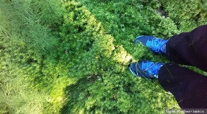 Цветотипы 3 (и опрос) — Болталка и разговоры обо всем: жизнь