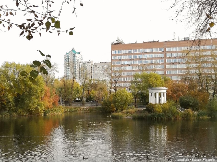 Прекрасные Сакурана и Тихайя