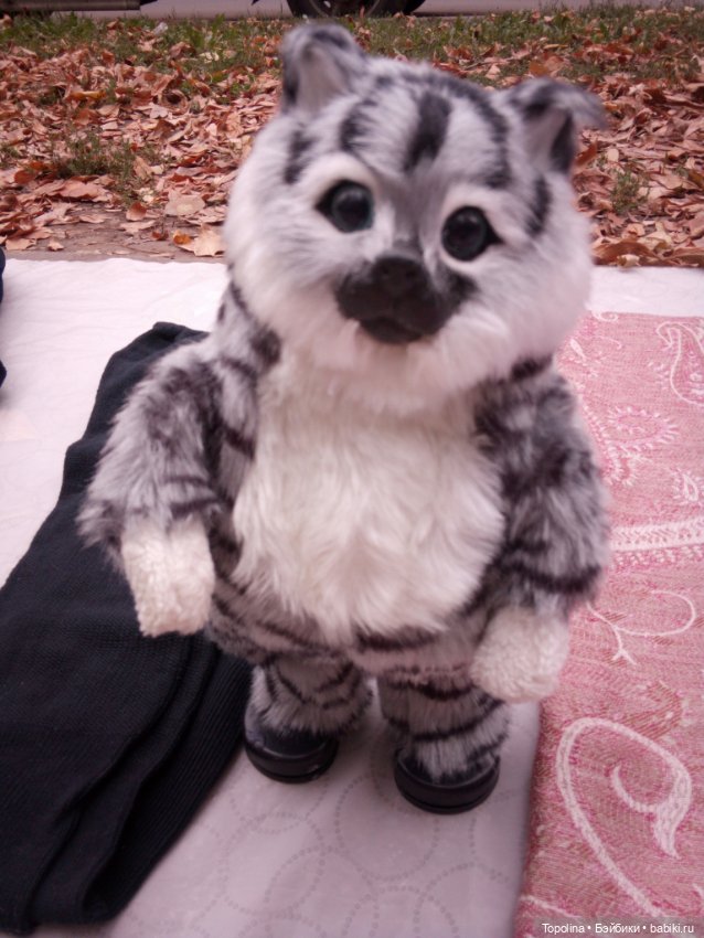 Блошка. Вчера и Сегодня — Болталка и разговоры обо всем: жизнь