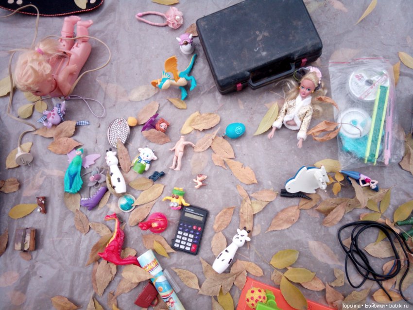 Блошка. Вчера и Сегодня — Болталка и разговоры обо всем: жизнь (фото 6)