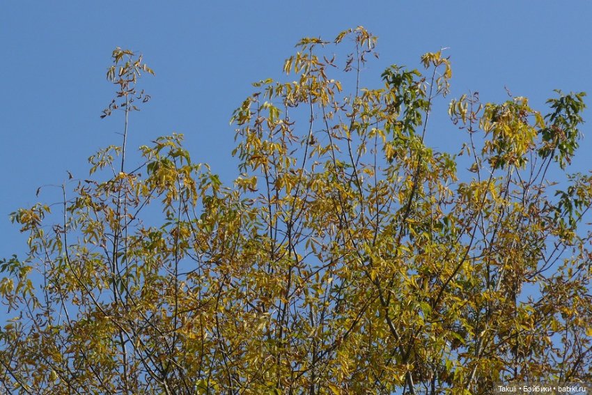 Уютная осень: To be with you (фото 2)