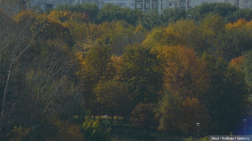 Уютная осень: To be with you (фото 3)