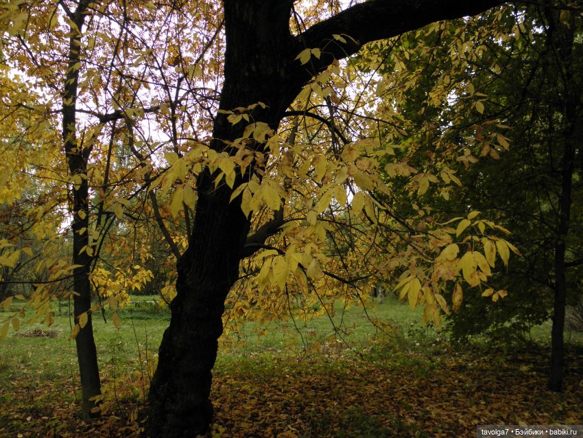 Дюймовочка и осень — Советские винтажные куклы (СССР): Ленигрушка