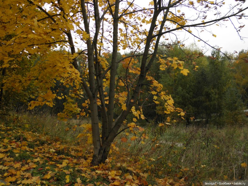 Дюймовочка и осень — Советские винтажные куклы (СССР): Ленигрушка