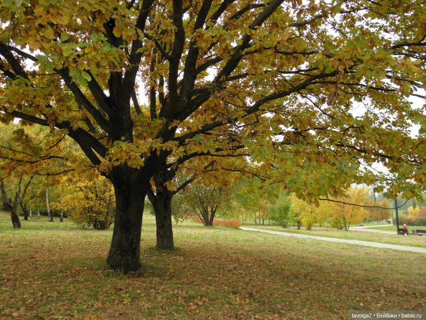 Дюймовочка и осень — Советские винтажные куклы (СССР): Ленигрушка (фото 7)