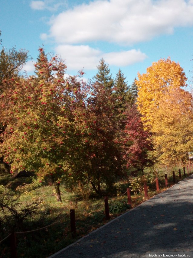 Маринка в Ботаническом саду