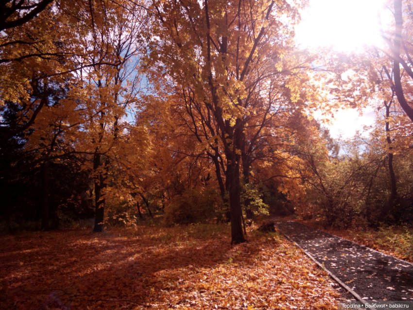 Маринка в Ботаническом саду