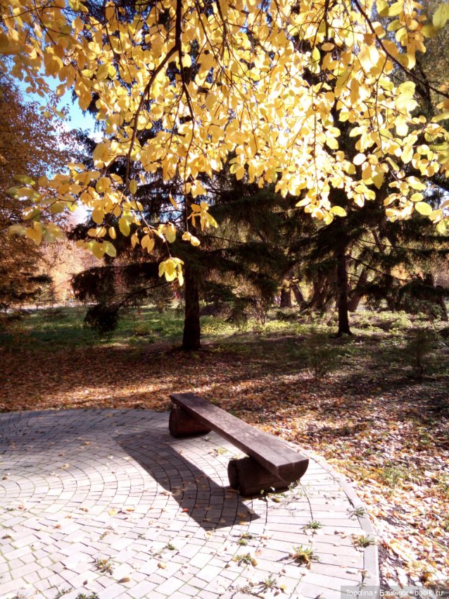 Маринка в Ботаническом саду