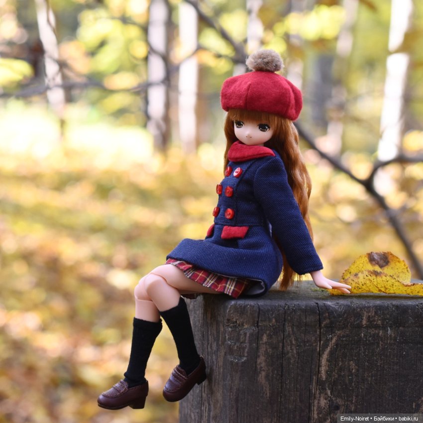 Кохаку в поисках осени — Аниме куклы (MJD/Винил): Imomo (фото 5)