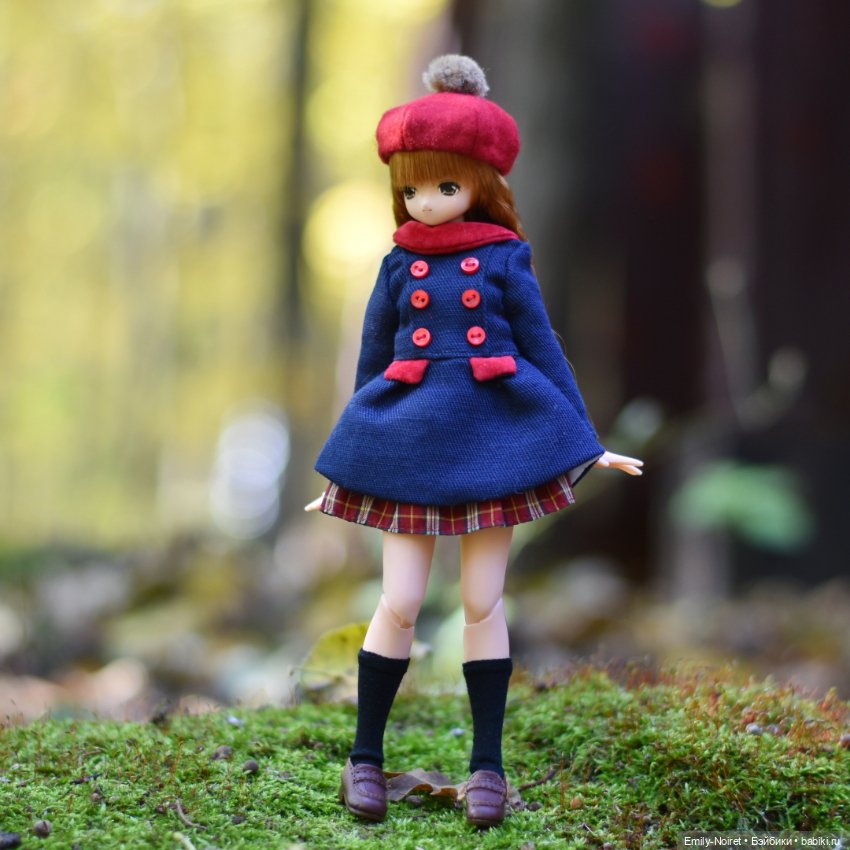 Кохаку в поисках осени — Аниме куклы (MJD/Винил): Imomo (фото 8)