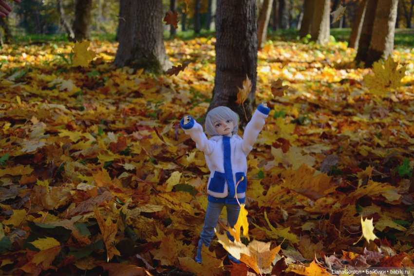 Осенняя прогулка — Гибридизация кукол BJD (БЖД): пересадка головы (фото 8)