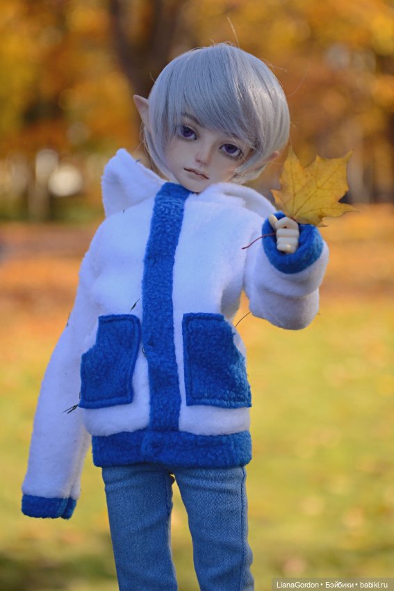 Осенняя прогулка — Гибридизация кукол BJD (БЖД): пересадка головы (фото 3)