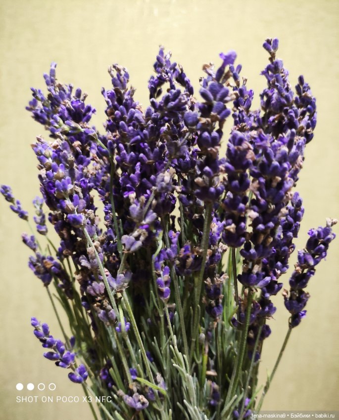 Лягушата — Фарфоровые статуэтки и фигурки: винтаж