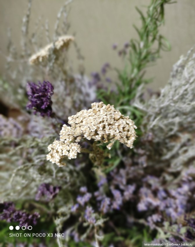 Лягушата — Фарфоровые статуэтки и фигурки: винтаж