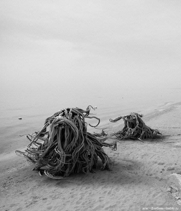 Психоделические скульптуры от Can Pekdemir (фото 9)