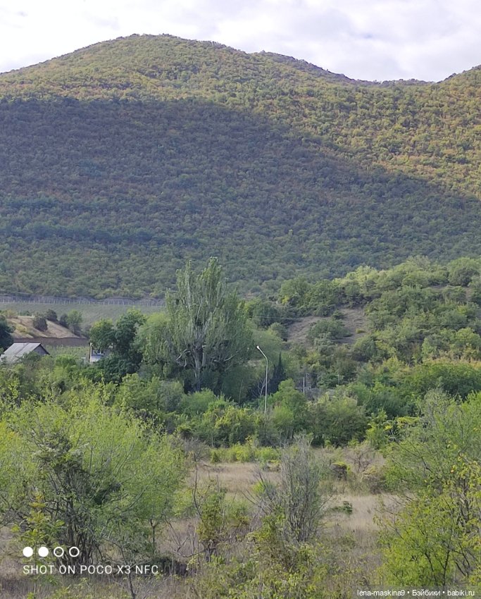 Крым- Долина роз, кукла Маша (фото 9)