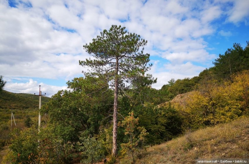 Крым- Долина роз, кукла Маша (фото 3)