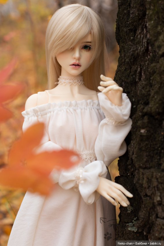 Берёзовый лес — Куклы Supia Doll (Супия): корейские BJD (БЖД) (фото 5)
