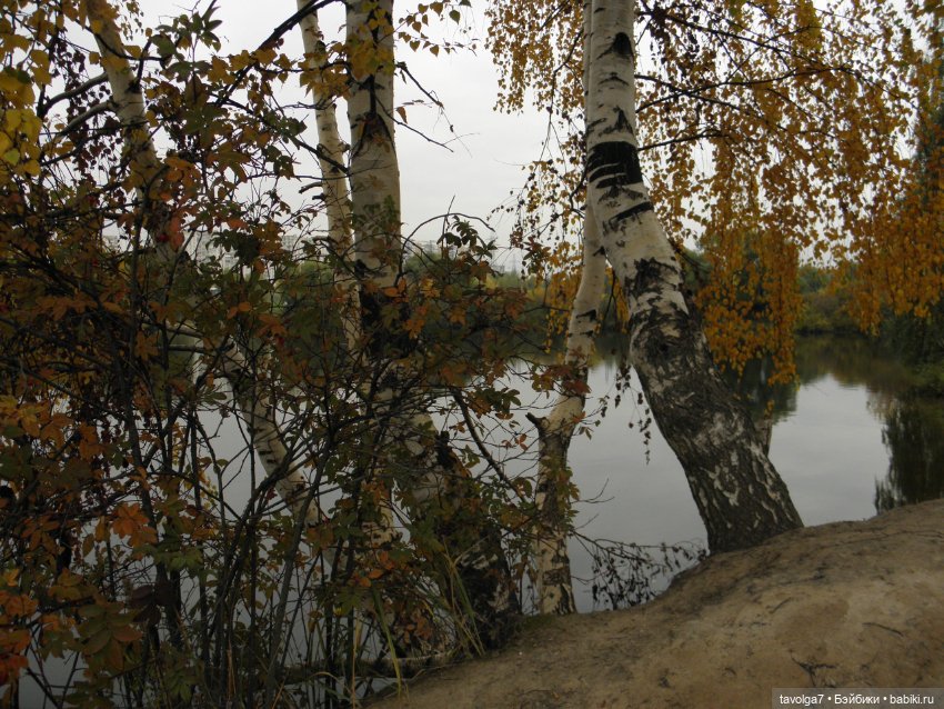 Флёр World of Love 1970х и октябрь 2021 (фото 5)