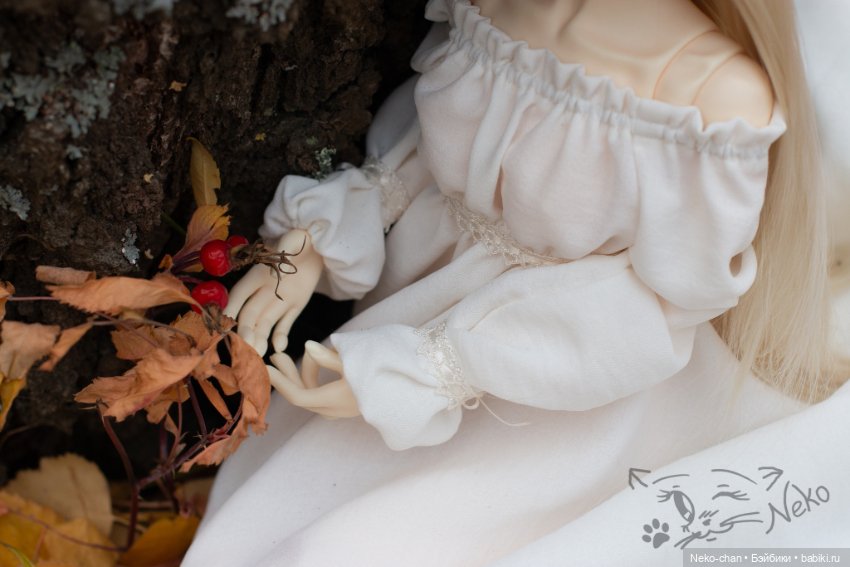 Берёзовый лес — Куклы Supia Doll (Супия): корейские BJD (БЖД) (фото 6)