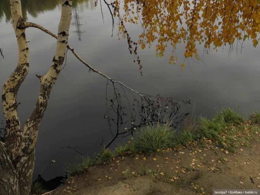 Флёр World of Love 1970х и октябрь 2021 (фото 6)