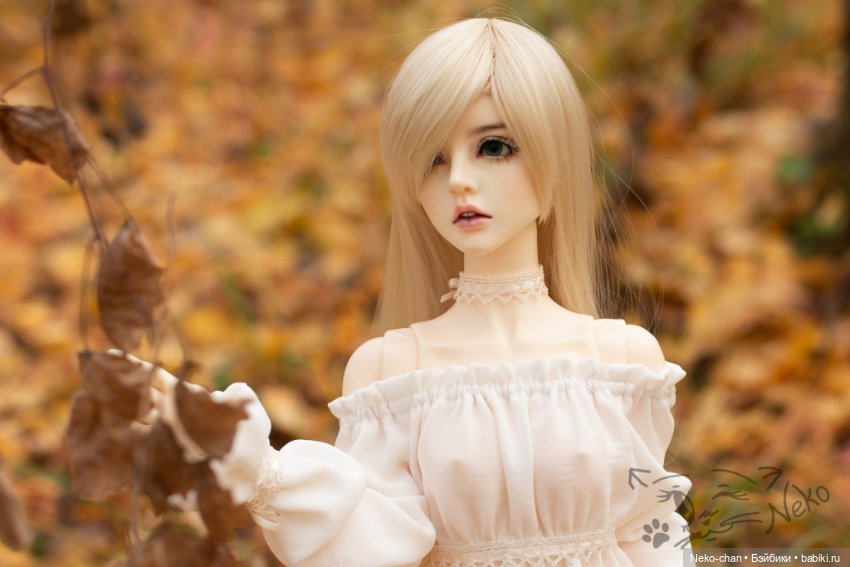 Берёзовый лес — Куклы Supia Doll (Супия): корейские BJD (БЖД) (фото 4)