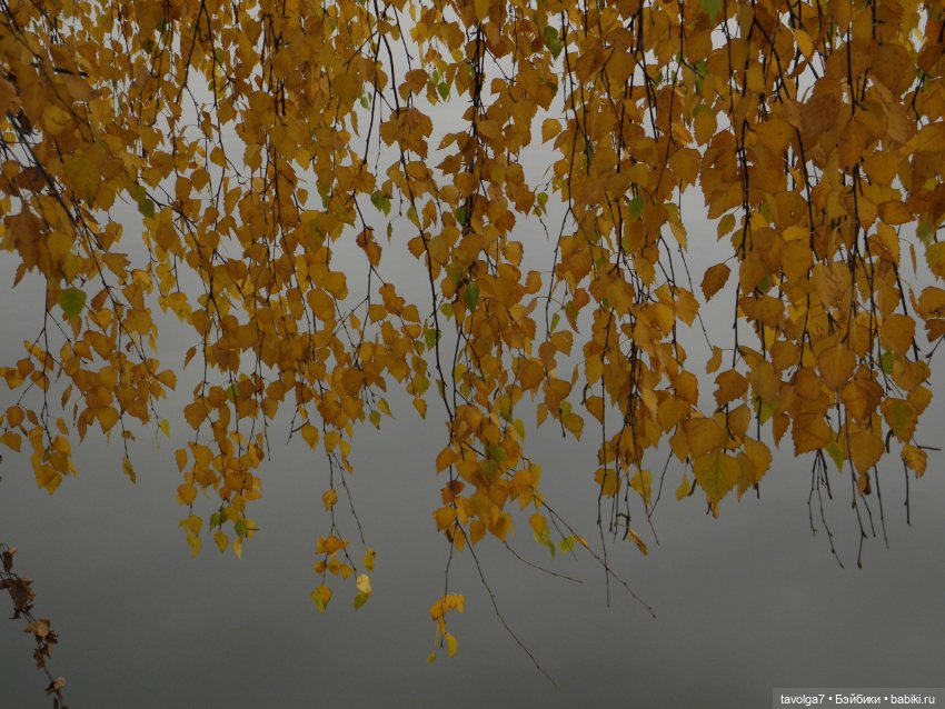 Флёр World of Love 1970х и октябрь 2021 (фото 7)