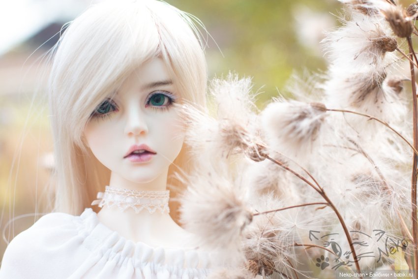 Пушок — Куклы Supia Doll (Супия): корейские BJD (БЖД)