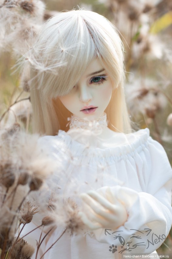Пушок — Куклы Supia Doll (Супия): корейские BJD (БЖД) (фото 4)
