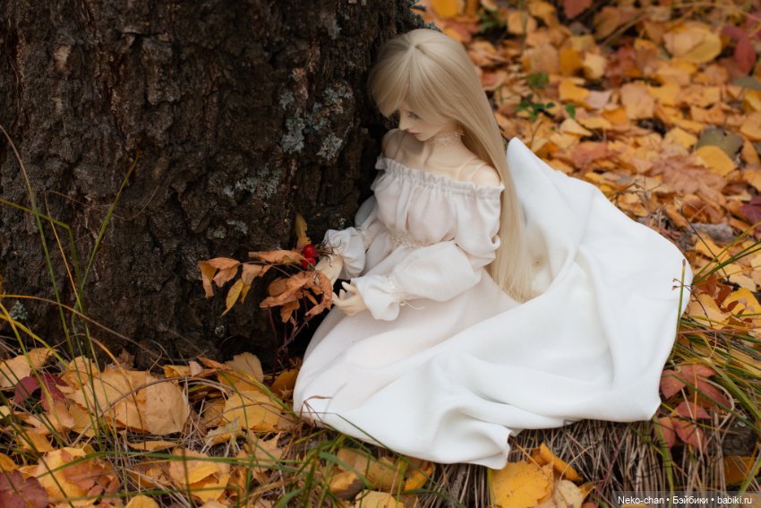 Берёзовый лес — Куклы Supia Doll (Супия): корейские BJD (БЖД) (фото 7)