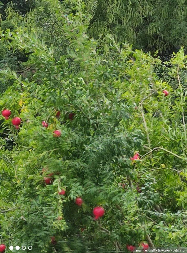 Глаша и Мишка — Авторские игрушки из разных материалов: синельная проволока