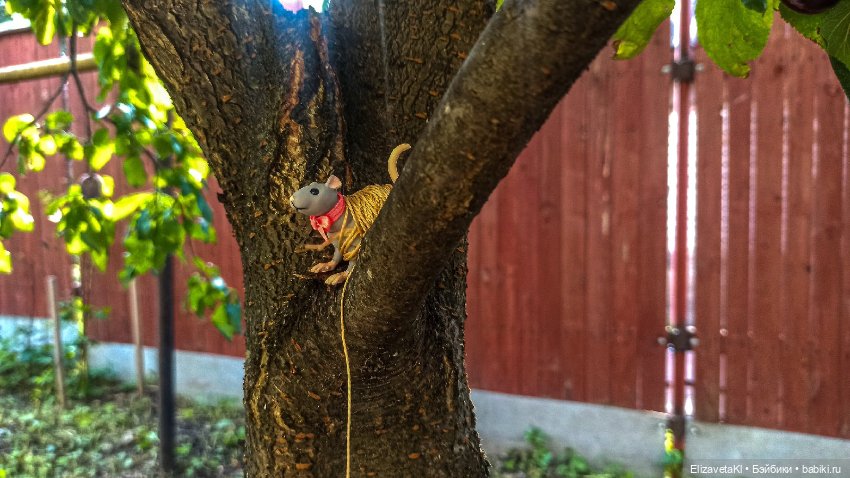 Морковь. Realpuki. 133 — Фотоистории с куклами BJD (БЖД): сериалы (фото 9)