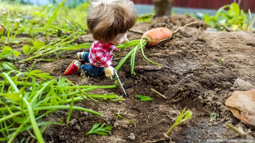 Морковь. Realpuki. 133 — Фотоистории с куклами BJD (БЖД): сериалы