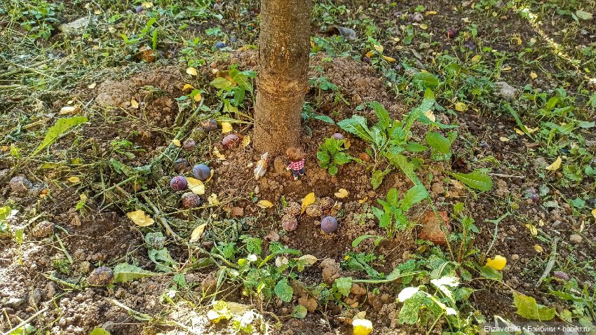 Морковь. Realpuki. 133 — Фотоистории с куклами BJD (БЖД): сериалы (фото 7)