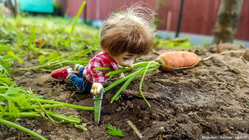 Морковь. Realpuki. 133 — Фотоистории с куклами BJD (БЖД): сериалы