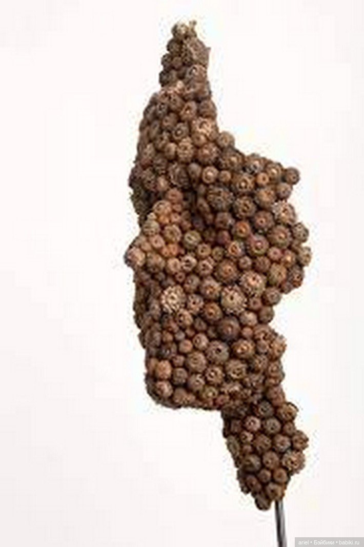 Современная скульптура от Anna Gillespie