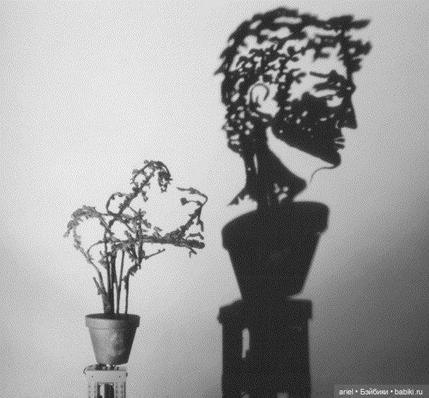 Теневые инсталляции от Diet Wiegman