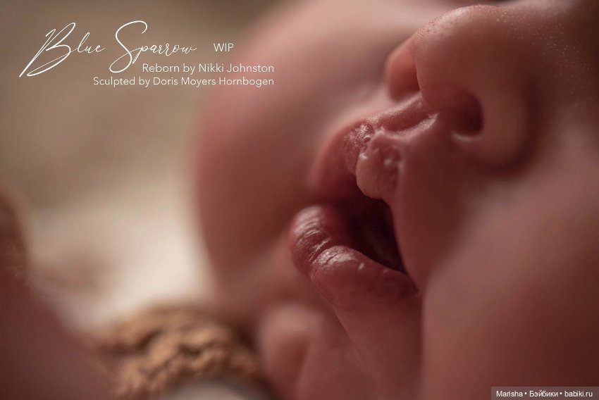 Blue Sparrow от Doris Moyers Hornbogen, автор прототипа Nikki Johnston