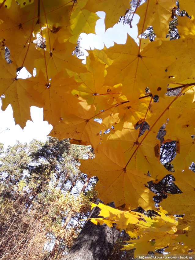 "Осенний поцелуй после жаркого лета..."