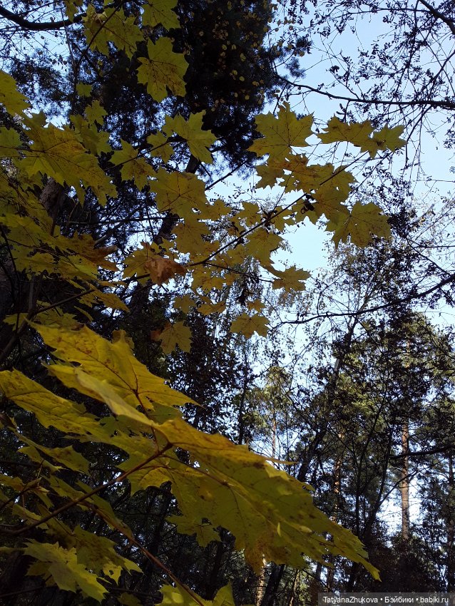 "Осенний поцелуй после жаркого лета..."
