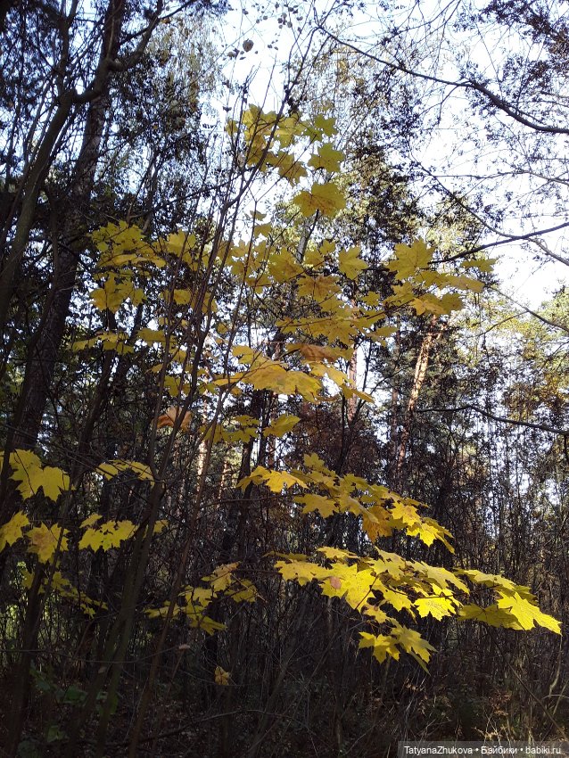 "Осенний поцелуй после жаркого лета..."