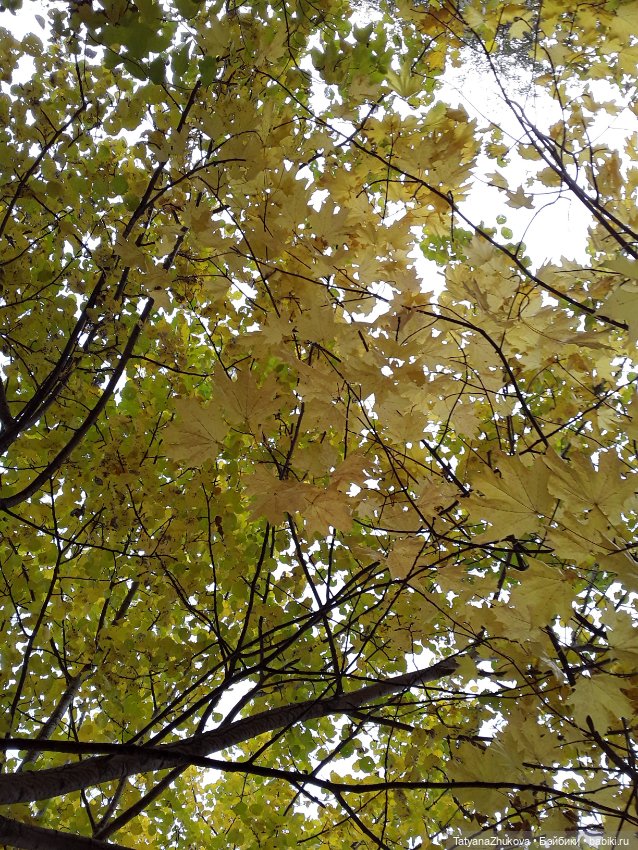 "Осенний поцелуй после жаркого лета..."